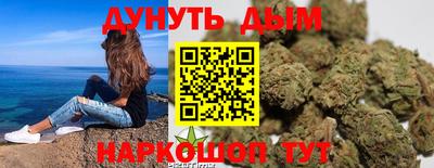 амф Гатчина