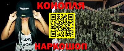 амф Гатчина