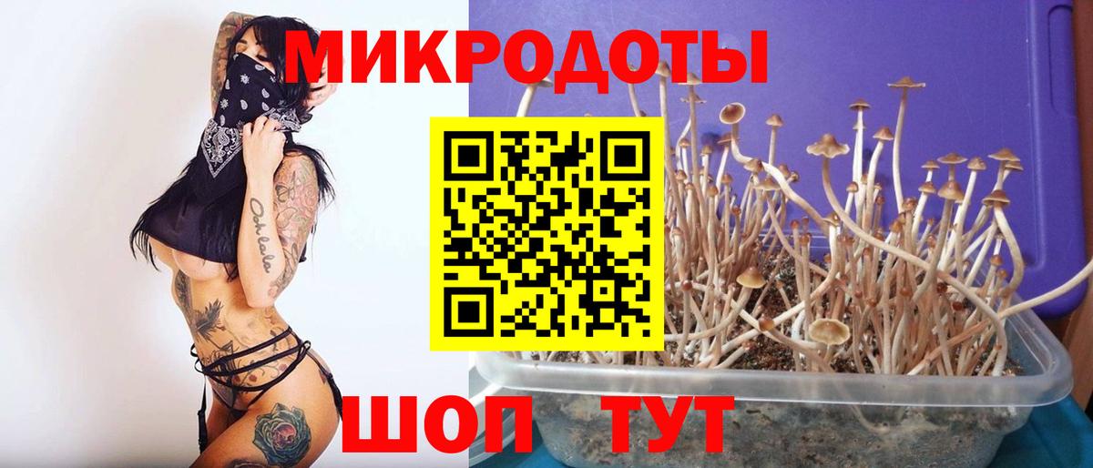Галлюциногенные грибы Cubensis  Псилоцибиновые грибы прущие грибы  где купить наркотик  Вход с VPN  Гуково 